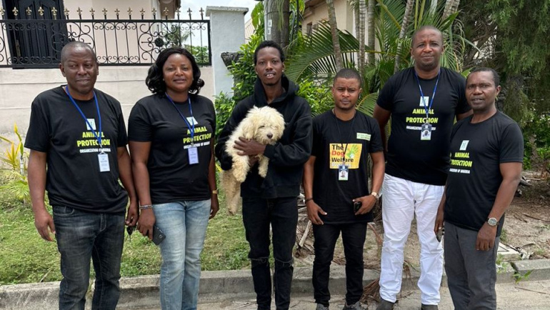Roxie – Dog Massacre in Lagos Nigeria